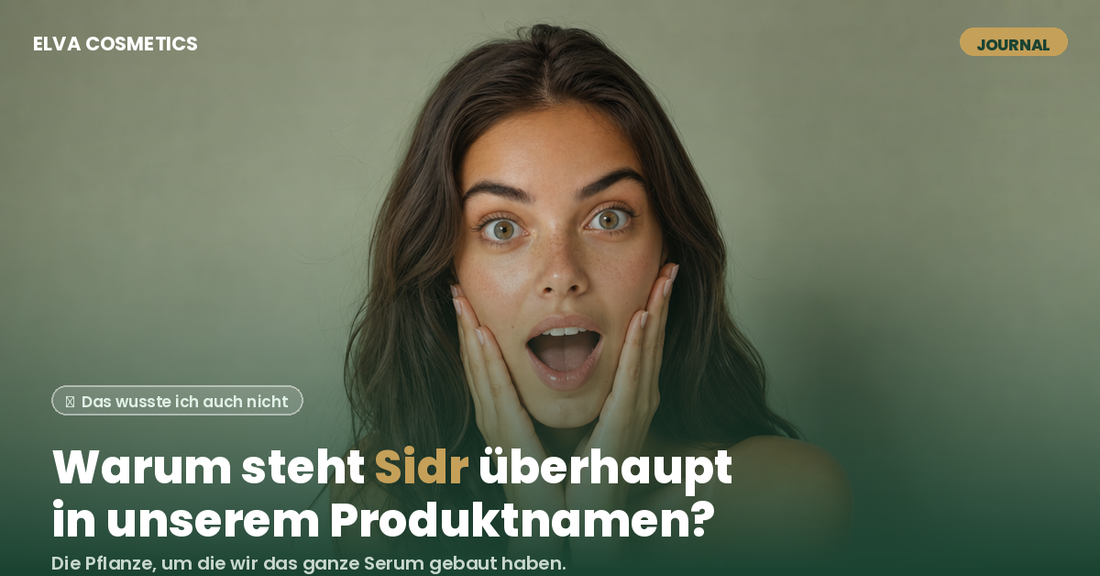 Was ist Sidr? Die Pflanze hinter unserem Kopfhautserum
