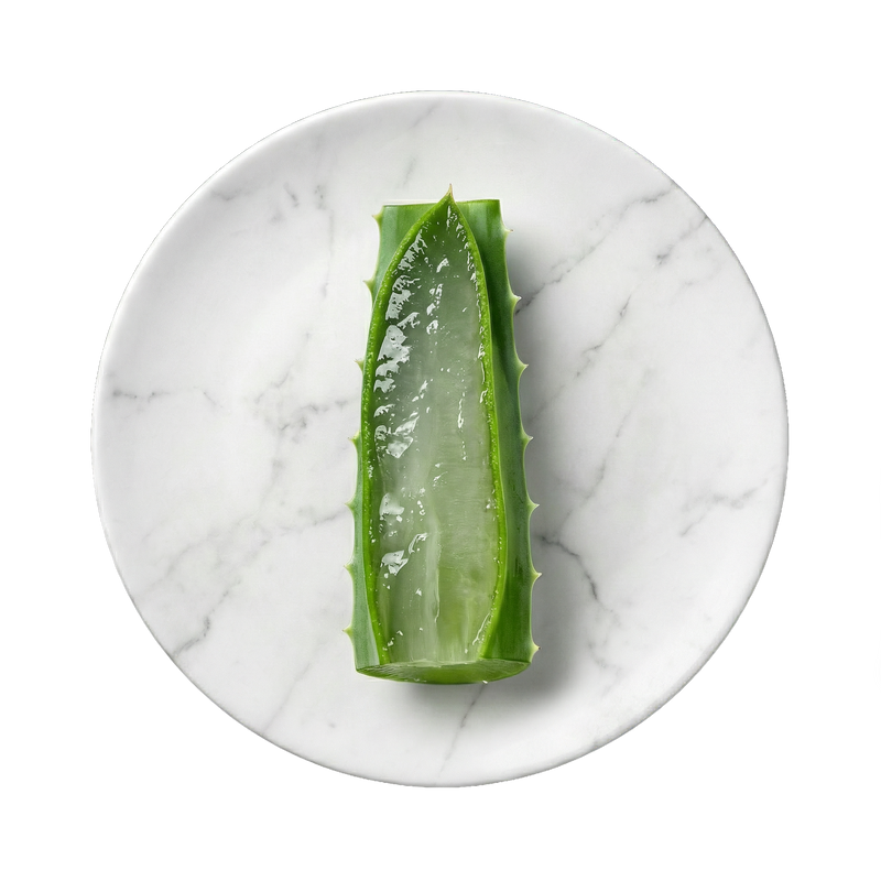 Aloe Barbadensis Leaf Juice