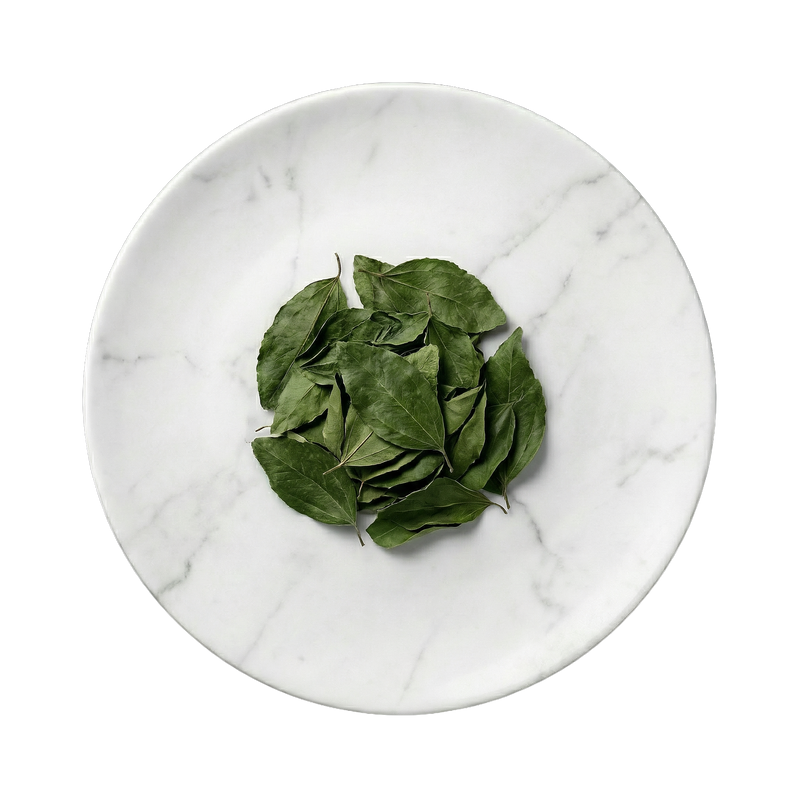 Ziziphus Spina-Christi Leaf